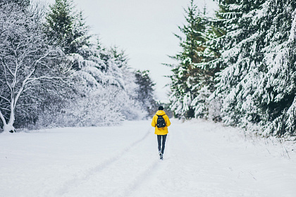Как не замерзать зимой на прогулке: 7 советов от команды BioFoodLab 