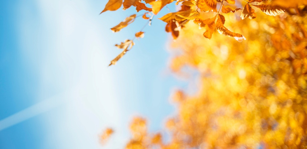 Как правильно питаться осенью: 7 полезных советов