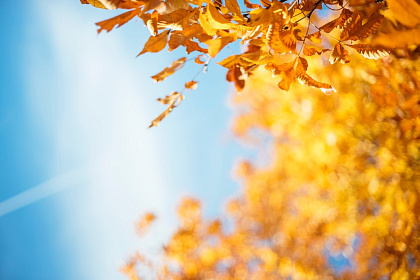 Как правильно питаться осенью: 7 полезных советов